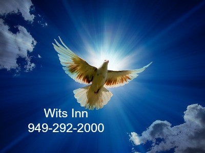 Percodan Detox Treatment ProgramRoswell NM